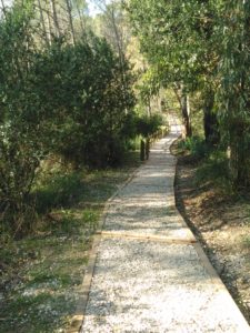 Uno dei sentieri da trekking