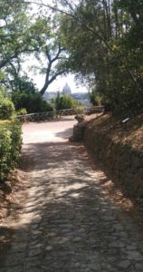 Passeggiata lungo i sentieri del Parco